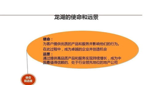 龍湖企業(yè)管理與運營精細(xì)化管理策略探討