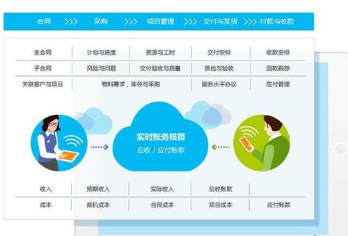 森渥項目型企業管理咨詢 以智能系統為引擎，一鍵破解財務管理核心難題